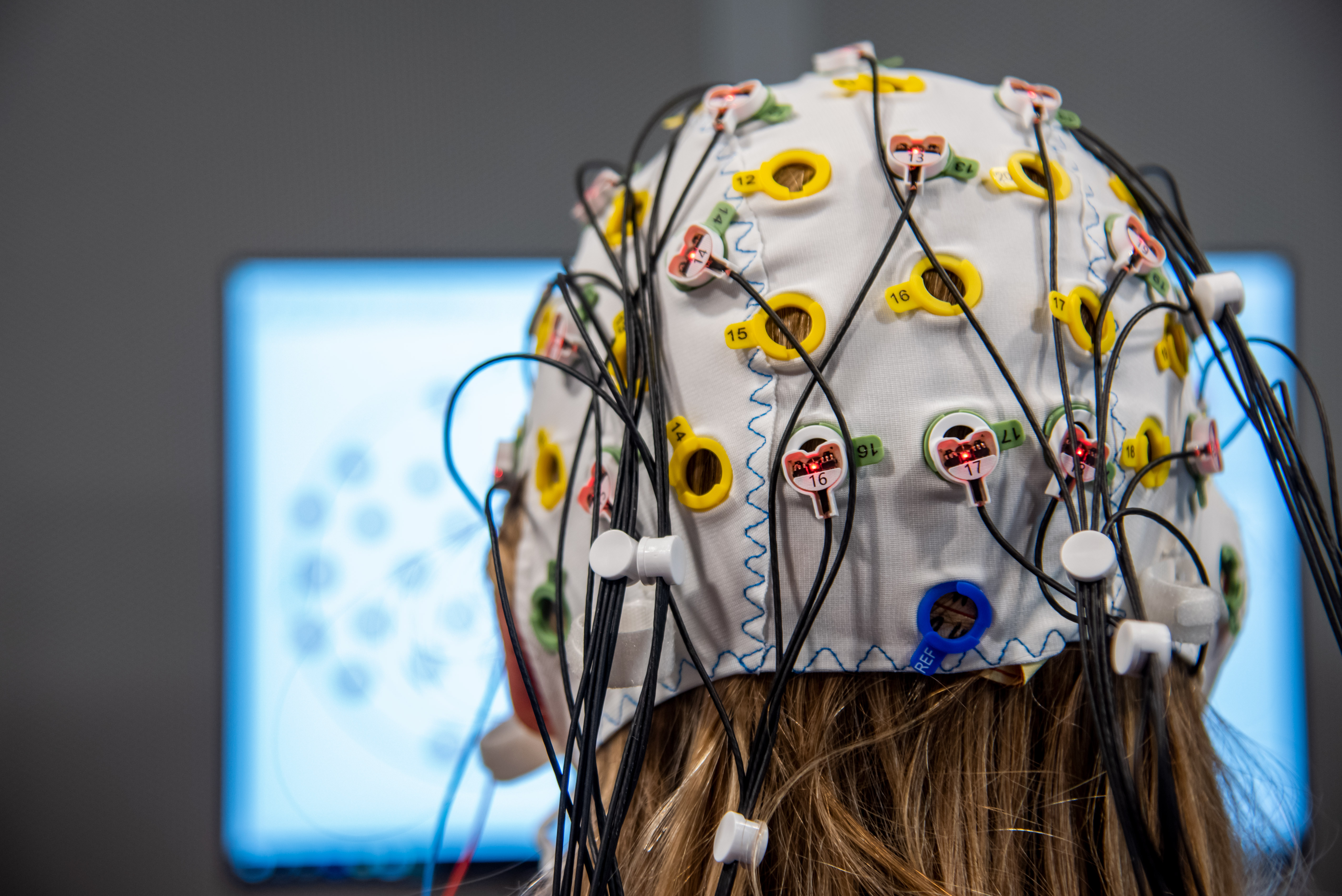 Participant seeing the electrode map